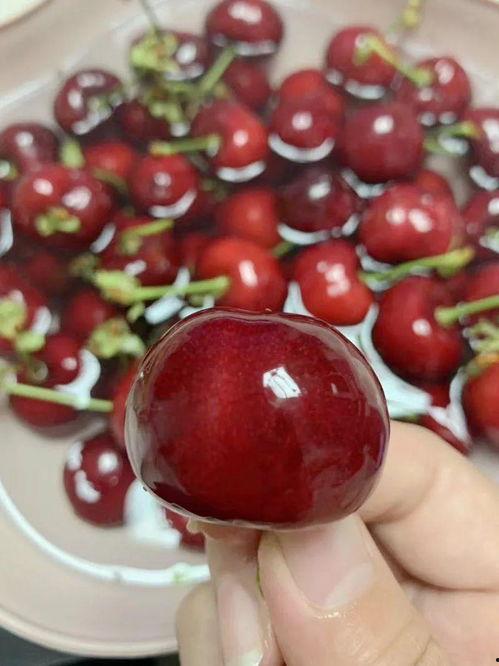 吃瓜网红事件樱桃是真的吗,真相揭秘,是真是假? 第2张 吃瓜网红事件樱桃是真的吗,真相揭秘,是真是假? 第2张